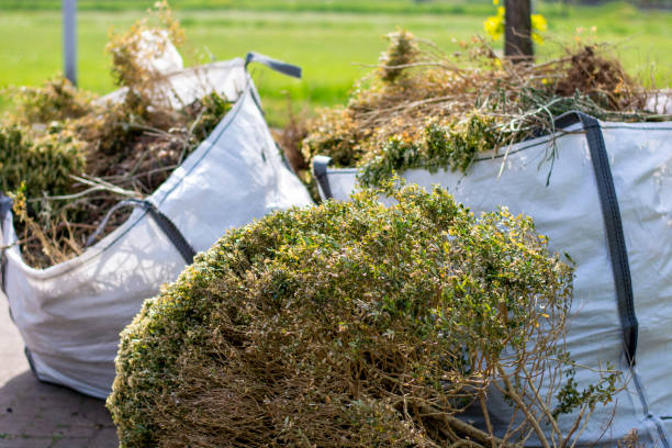 Best Shed Removal  in Miami Beach, FL